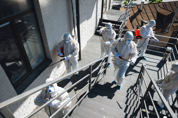 Best Crawl Space Mold Remediation  in Lauderdale Lakes, FL