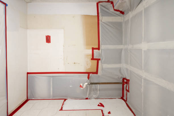 Best Airborne Mold Testing  in Lauderdale Lakes, FL