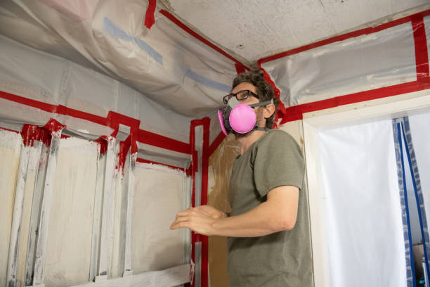 Best Black Mold Removal  in Lauderdale Lakes, FL