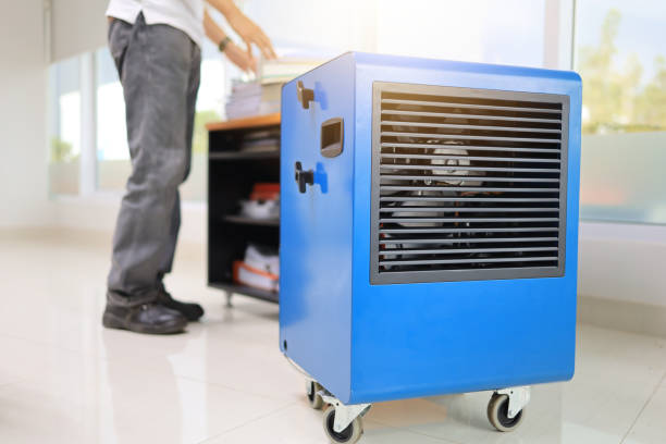 Best Forensic Mold Investigation  in Lauderdale Lakes, FL