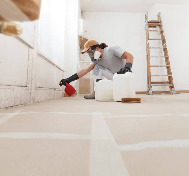 Best Mold Prevention Services  in Lauderdale Lakes, FL